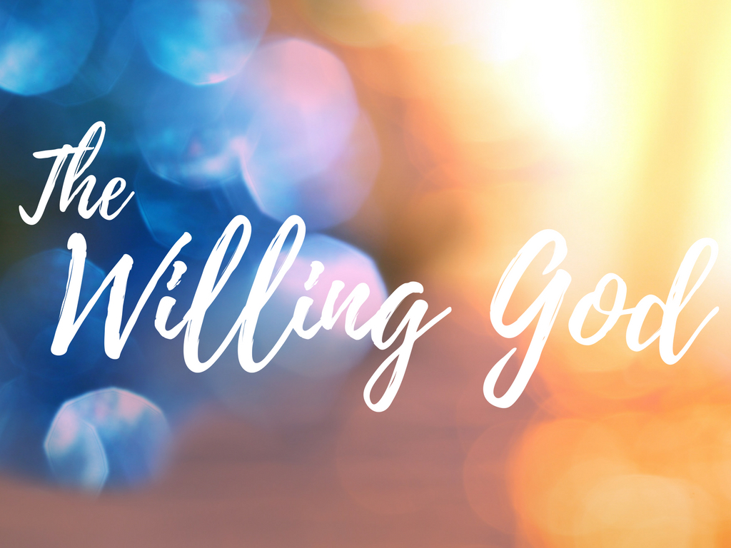 the-willing-god-danwilt